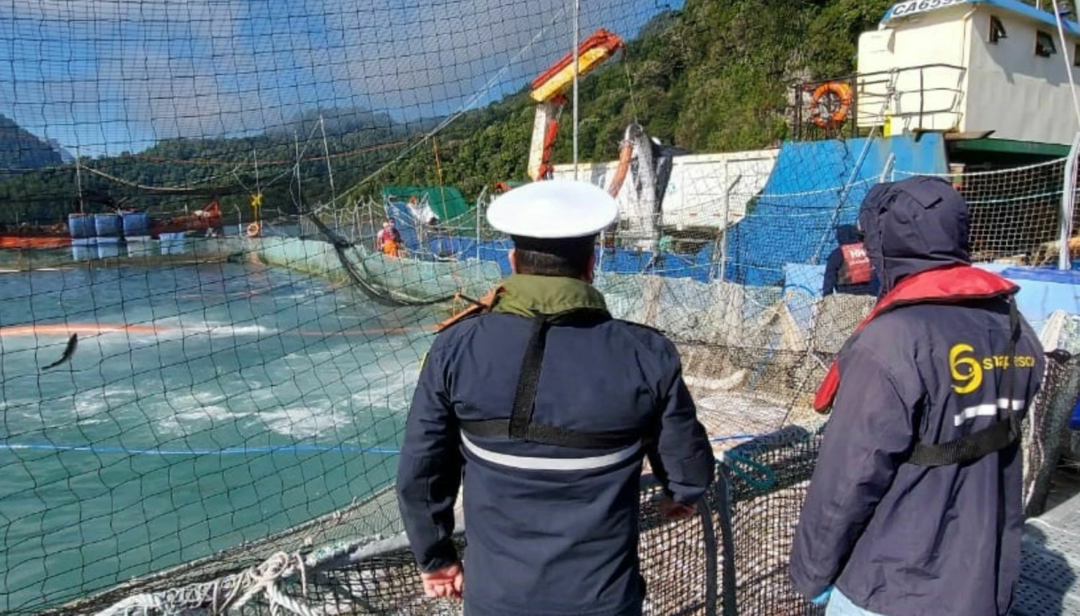 Sernapesca informa mortalidad masiva de salmones por floración algal
