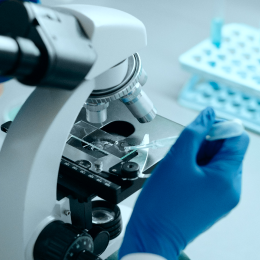 Investigación Avanzada