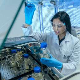 Servicios Laboratorios